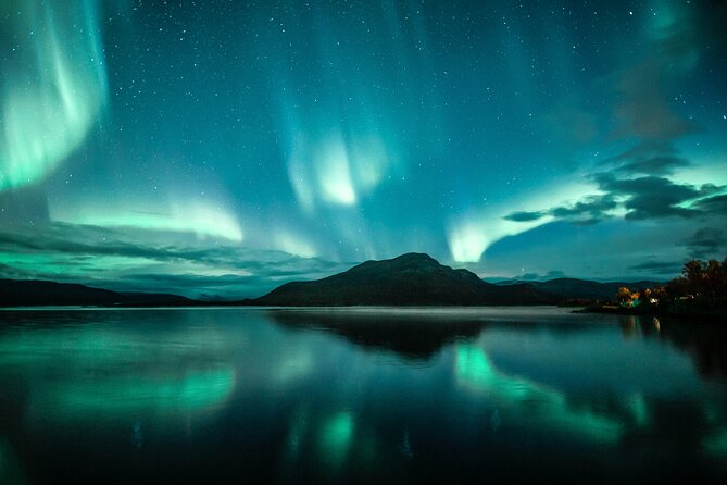 Northern Lights Minibus Chase Lofoten