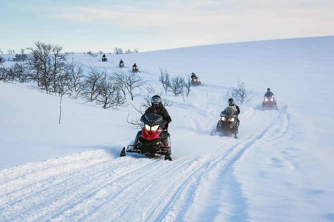 Norway: Finnmarksvidda Small-Group Half-Day Snowmobile Tour  – Alta