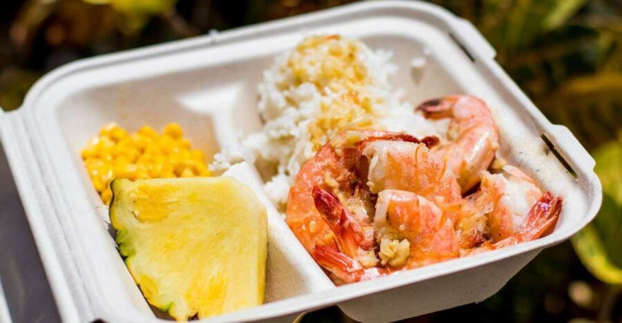 Oahu: Circle Island Day Trip With Shrimp Plate Lunch - Good To Know