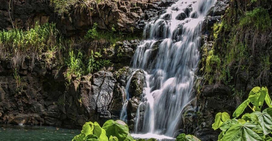 Oahu Hidden Gems & Waimea Botanical Garden/Waterfall Tour - Good To Know