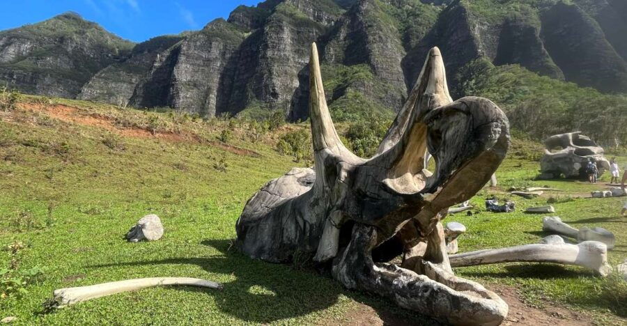Oahu: Kualoa Movie Sites, Jungle, and Buffet Tour Package - Good To Know