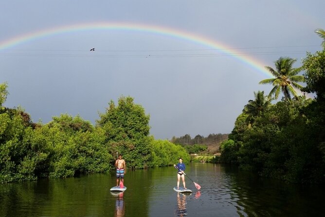 Oahu North Shore Small-Group Stand-Up Paddleboard Turtle Tour - Good To Know