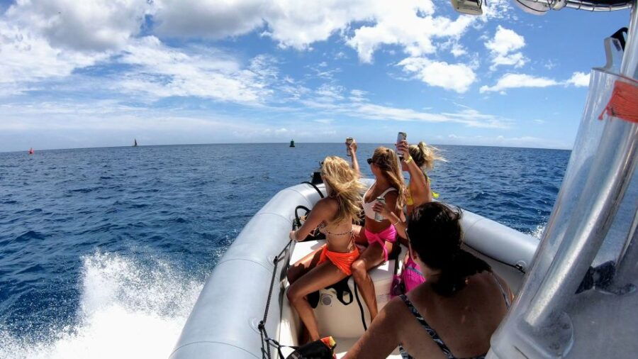 Oahu: Private Whale Watching Adventure - Good To Know