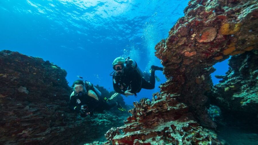 Oahu: Waikiki Discovery Scuba Diving for Beginners - Good To Know