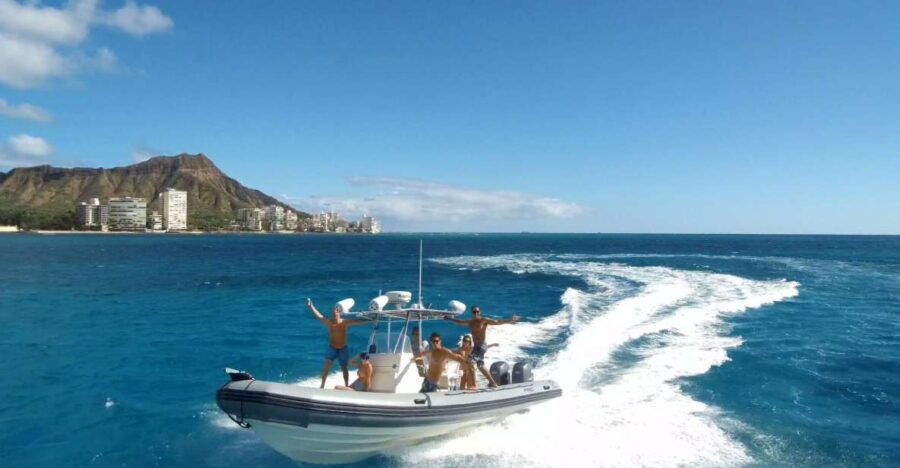 Oahu: Waikiki Private Snorkeling and Wildlife Boat Tour - Good To Know