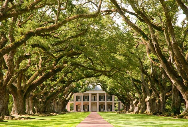 Oak Alley Plantation and 3-Hour New Orleans City Tour