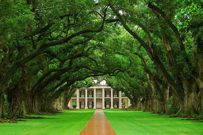 Oak Alley Plantation Half Day Tour From New Orleans - Good To Know