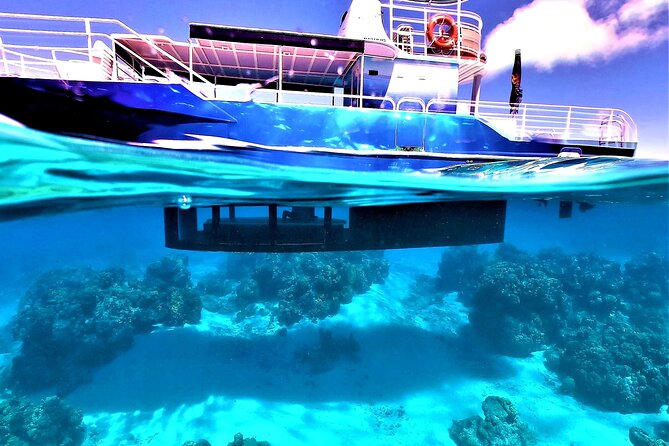 Observation of Marine Flora and Fauna in Bora Bora