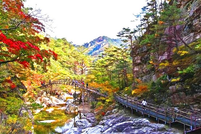 Odaesan National Park Hiking Day Tour: Explore Autumn Foliage Korea - Good To Know