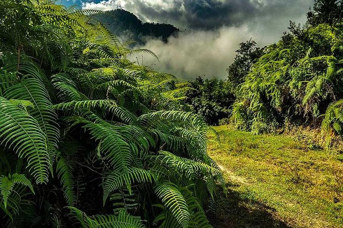 Off The Beaten Path