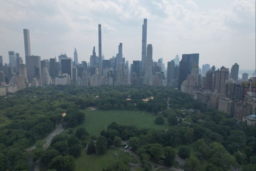 Official VIP Whole Central Park Horse Carriage Tour - Good To Know