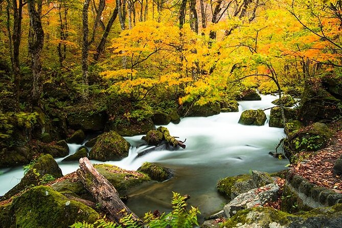 Oirase Gorge and Lake Towada Day Hike With Government-Licensed Guide