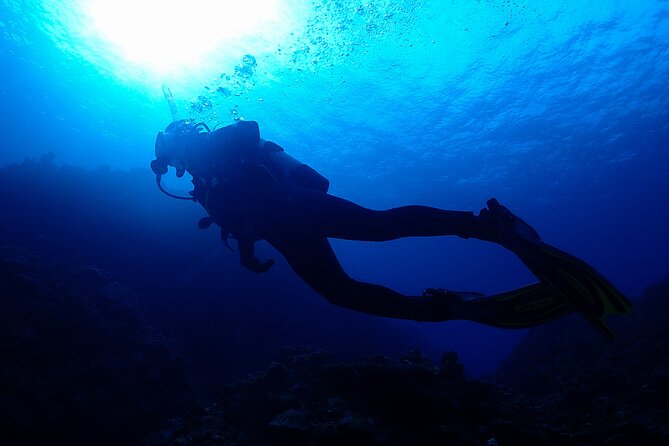 3 Best Scuba Diving Experiences in Motobu Cho
