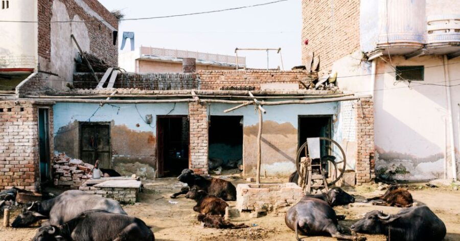 Old Delhi Slum Tour - Good To Know