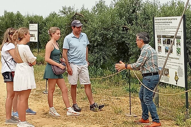 Oleotourism and Olive Oil Tasting in Seville - Private Tour - Good To Know