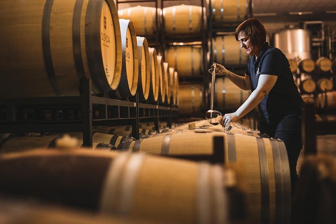 Olive Oil and Navarre Winery Visit With Tastings and Lunch in Small Group Tour