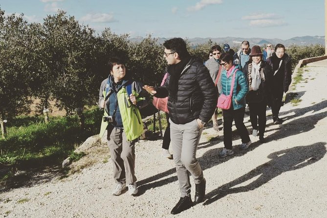 Olive Oil Experience - Good To Know