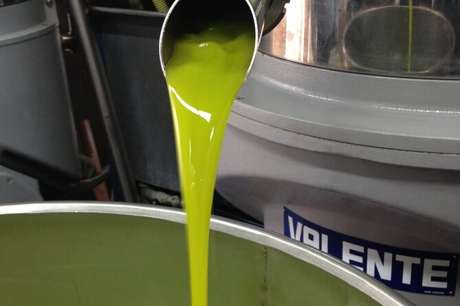 Olive Oil Private Full-Day Tour With Tasting in Valencia - Good To Know