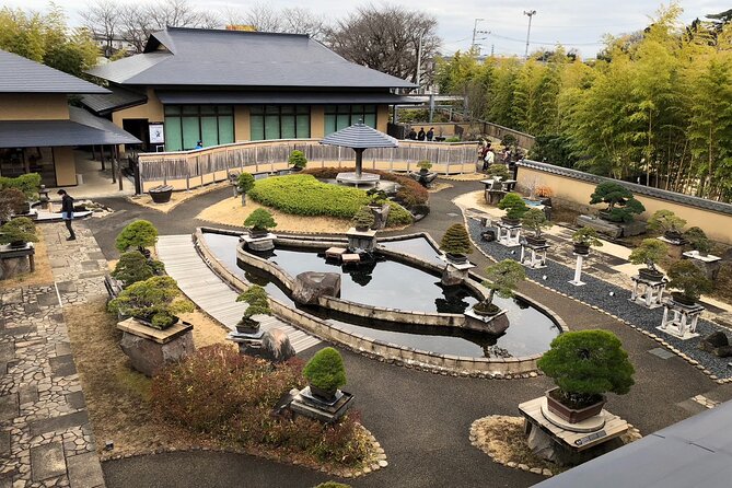 Omiya Bonsai Private Tour