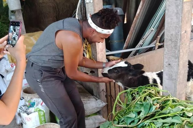 One Day Be Farmer and Master Chef in Saigon - Good To Know