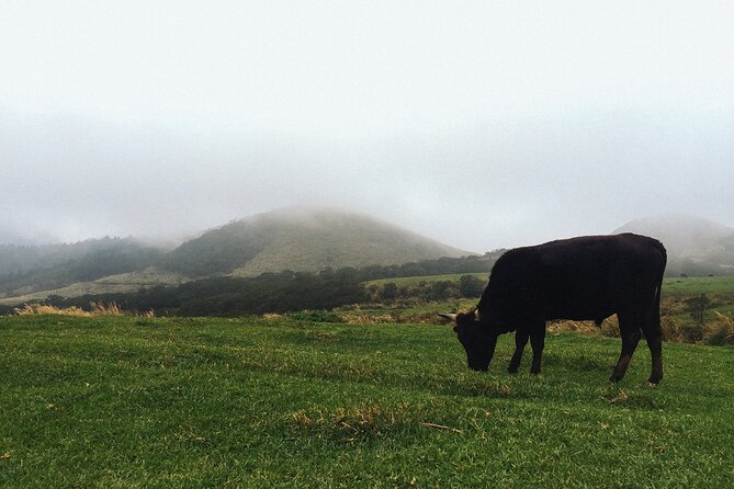 One Day Hike Around Yangmingshan - Good To Know