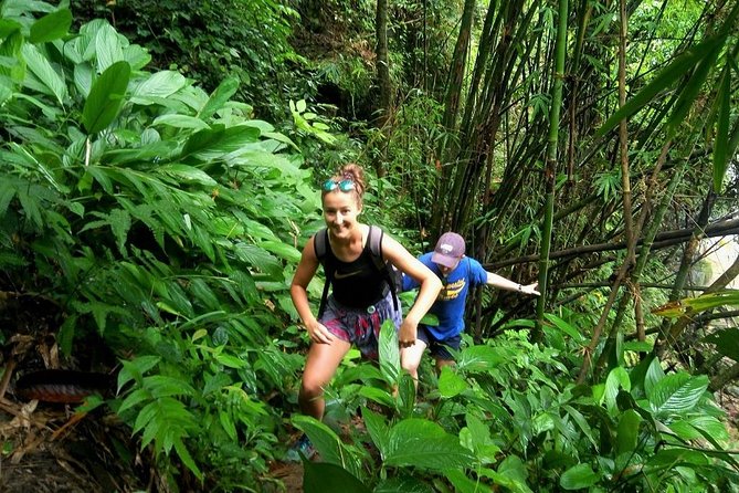 One Day Hiking and Elephant Experience by Chiang Mai Elephant Home - Good To Know