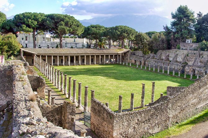 One Day Private Tour to Pompeii And/Or Herculaneum and Stop at the Winery - Tour Inclusions