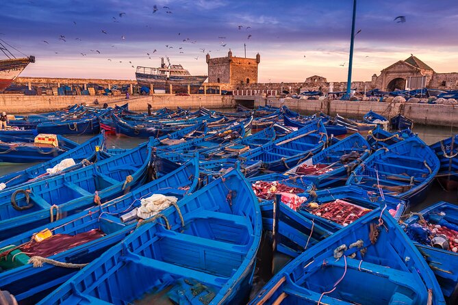 One Day Trip From Marrakech To Essaouira - Transportation Options From Marrakech