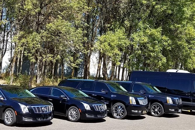 One Way Private Car From Hue City To Hoi An City