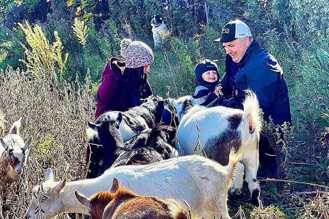 Ontario: Goat Meet-and-Greet Family-Friendly Farm Experience - Good To Know