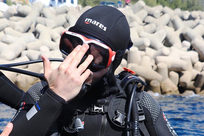 Open Water Diver Course in Arrabida Natural Park (Near Lisbon)