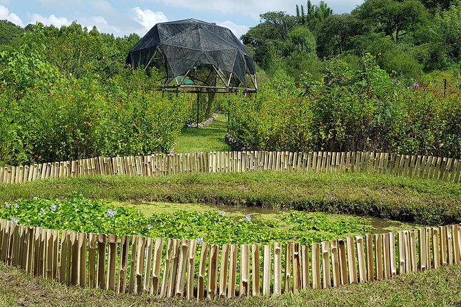 Openwork Butterfly Garden