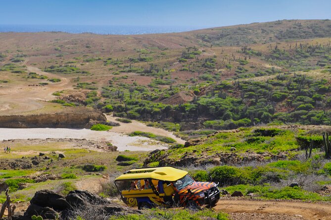 Oranjestad Private Half-Day Jeep Safari  - Aruba - Good To Know