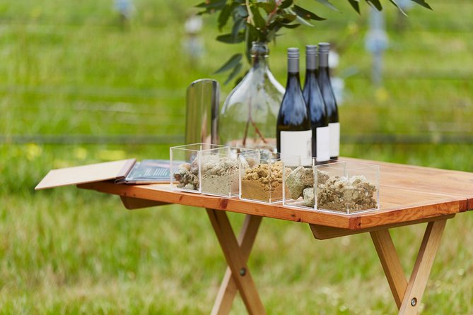 Organic Vineyard/Farm Tour