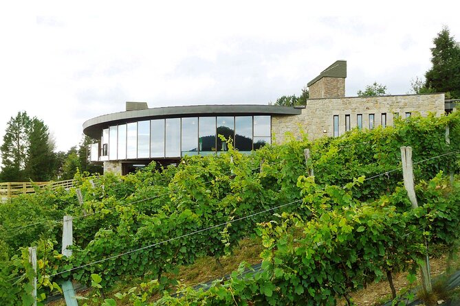 Organic Winery Visit With Tasting in Bilbao