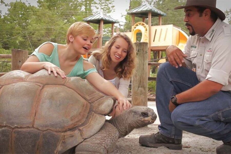 Orlando: Gatorland Interactive Tour With Animal Trainer - Good To Know