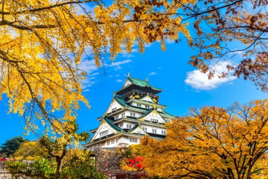 Osaka: 10-Hour Customizable Tour With Private Car - Good To Know