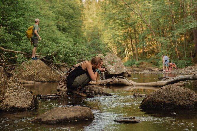 Oslo Hiking - Lysaker River Walk - Good To Know
