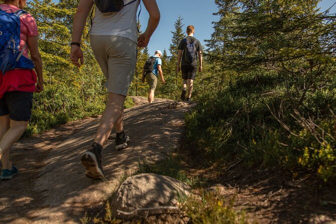 Oslo Hiking - Private Great Lake Tour - Good To Know