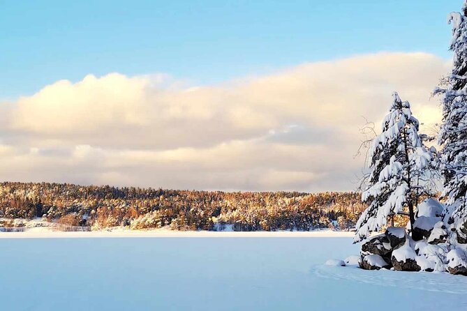 Oslo: Scenic Hike and Norwegian Waffle Witch Local & Puppy - Good To Know