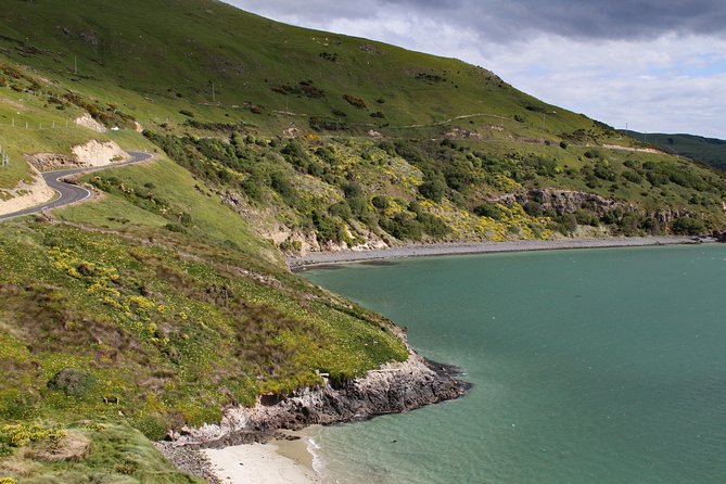 Otago Peninsulas Coastline: A Self-Guided Driving Tour