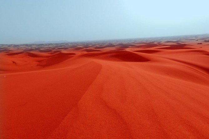 Overnight Camping in Dubai With Dinner Live Shows Camel Safari at Majilis Camp - Good To Know