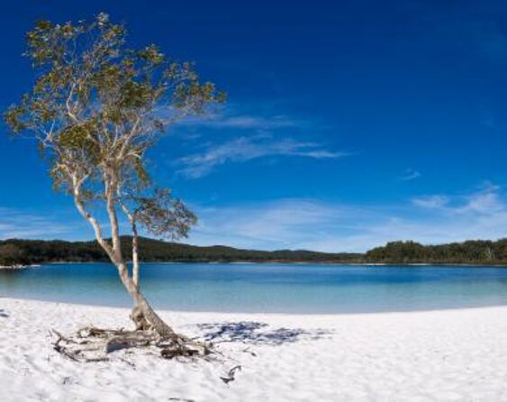 2 Best Safari Tours In Brisbane