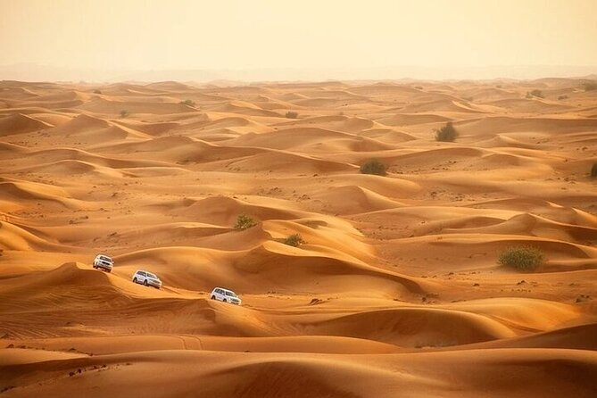 Overnight Private Desert Safari With Buffet Dinner and Camel Ride - Desert Safari Highlights