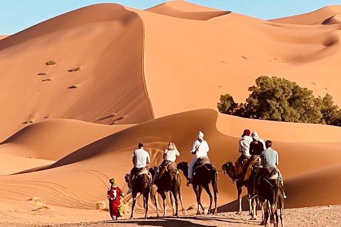 Overnight Stay in Desert Camp & Camel Trekking - Good To Know