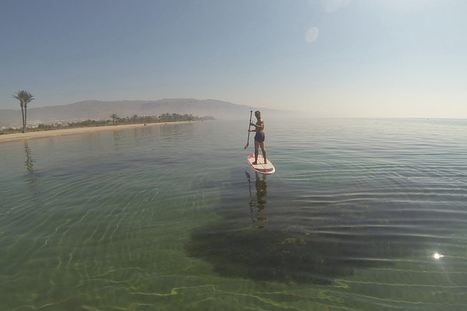 Paddle Surf (SUP) - Activity Requirements