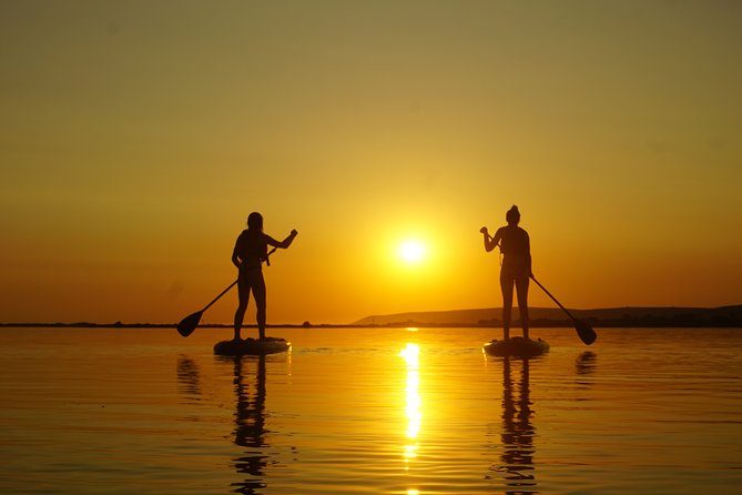 Paddleboard Adventure: Barnstaple  – Plymouth