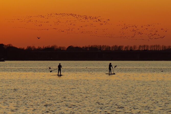 Paddleboarding Experience in Malahide - Good To Know