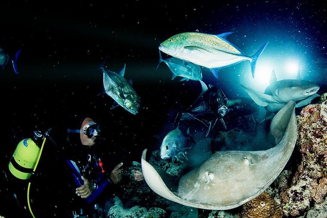 PADI Night Diver Speciality in Puerto De Mogan