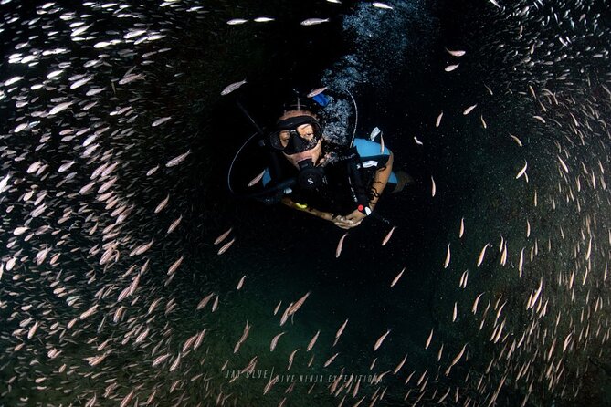 PADI Open Water Course in Cabo San Lucas - Good To Know